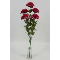 Букет тюльпанов с пижмой 10 голов, h=50 см. (Б1070)