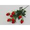 Букет роз в розетке с добавками 7 голов. Н=53 см. (Б2611)