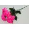 Букет роз в розетке 6 голов. Н=50 см. (Б2597)