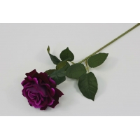 Одиночная роза бархат. H=73см (О355)