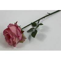 Одиночная роза полураспущен. Н=52 см. (О270)