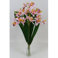    7  (21 ) h-62 (7478)