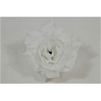 Голова розы Мечта белая d=14 см. (Г151/2)