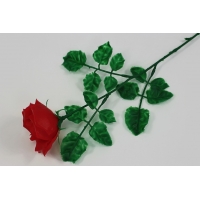 Роза Маргарита одиночная, h=62 см. (Н501)