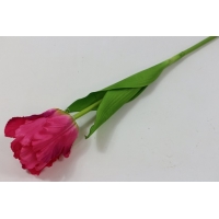 Одиночный тюльпан. (О7028)