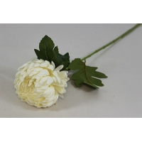 ��������� ���������� h-67�� (�7054)