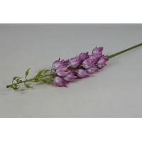 ������ ������� � h-97�� (�7058)