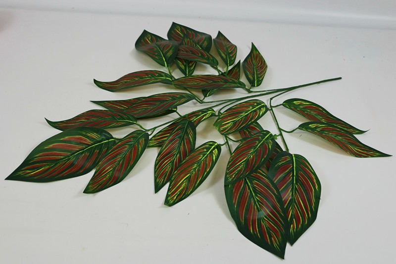 ����� ����� 5 ����� h-73�� (�7050)