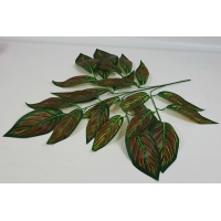 ����� ����� 5 ����� h-73�� (�7050)