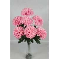 ����� ��������� 7 ����� h-55�� (�7700)