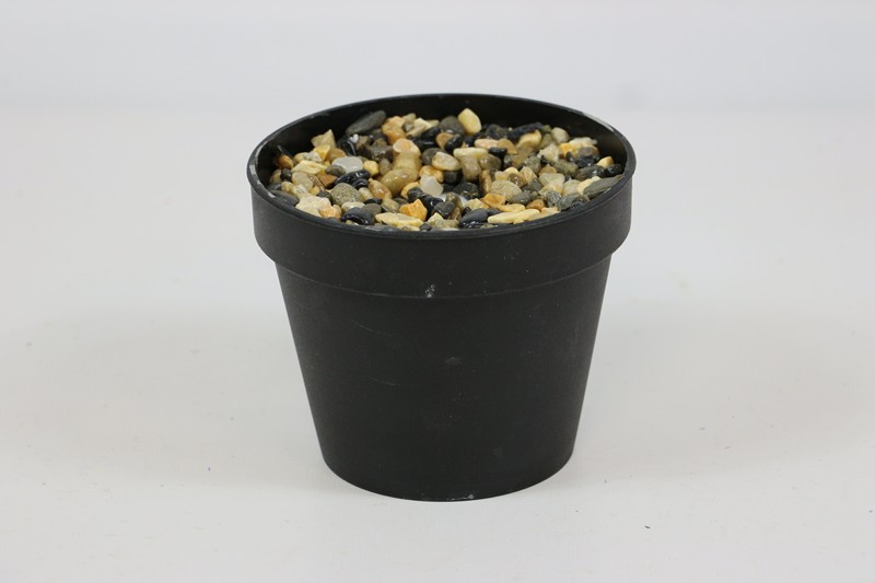 ������ ������������ � ��������� h-10�� (�7117)