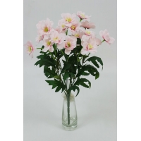 ����� ����������� 9 ����� (18 �����) h-38�� (�7468)