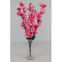 ����� ������ �������� 7 ����� h-55�� (�7486)