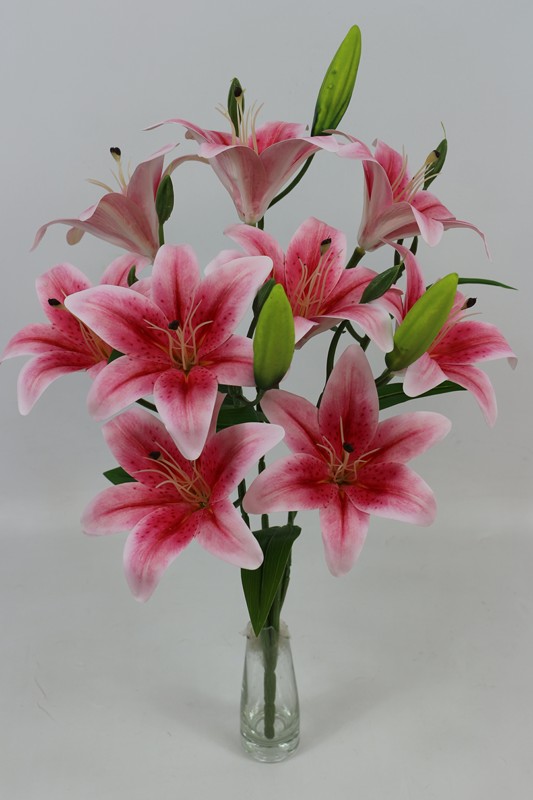 ����� ����� ������ 5 ����� (9 �����) h-60�� (�7476)