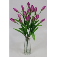 ����� �������� (�7124)