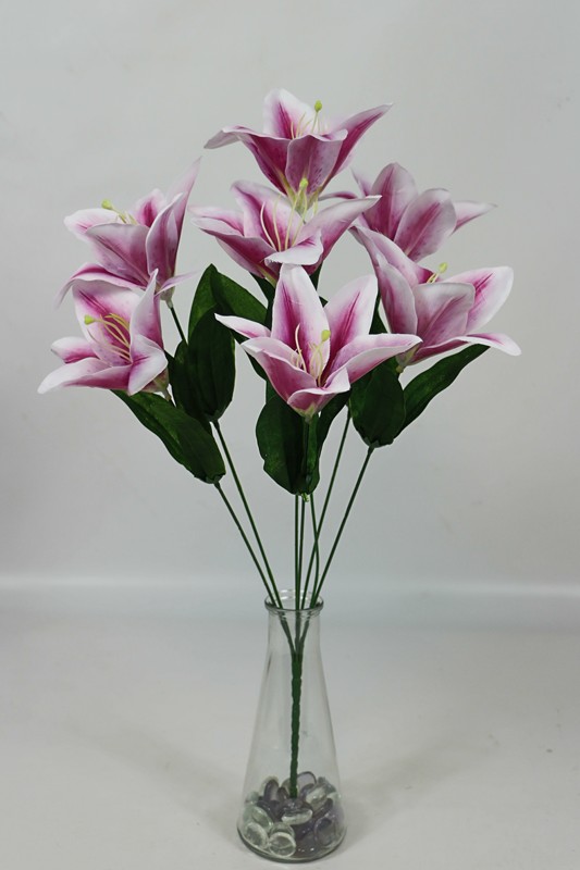 ����� ����� �������� 7 ����� h-51�� (�7655)