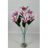 ����� ����� �������� 7 ����� h-51�� (�7655)