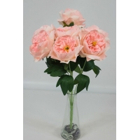 ����� ���� ��������� 7 ����� h-45�� (�7656)