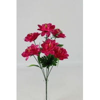 ����� ��������� �������� 6 ����� h-43�� (�7678)