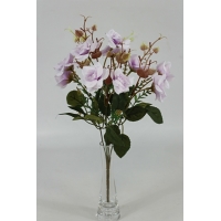 ����� ������ ��� 5 ����� (10 �����) h-33�� (�7679)