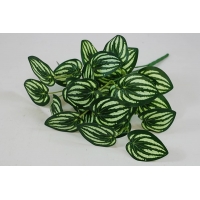 ���������� ��������� �������� 5 ����� h-40�� (�7127)