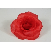 ������ ���� (�������) (�713/1)