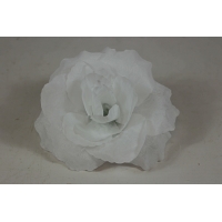 ������ ���� (�����) (�713/2)