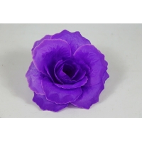 ������ ���� (������) (�713/7)