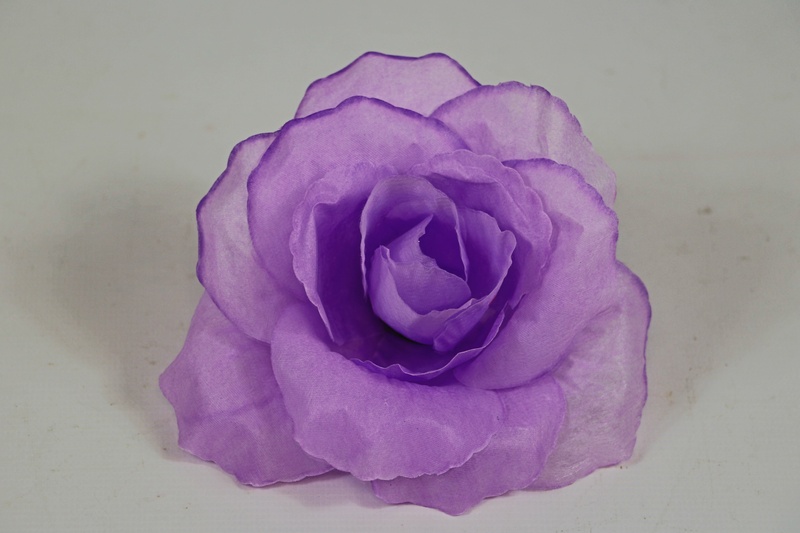 ������ ���� (������ ���������) (�713/8)