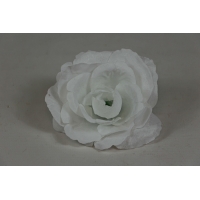 ������ ���� ����� (�712/2)