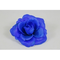 ������ ���� ����� (�712/3)