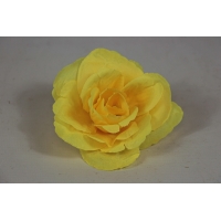 ������ ���� ������ (�712/4)