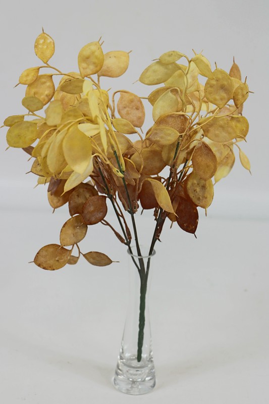 ����� ������� ������������� 5 ����� h-38�� (�7122)