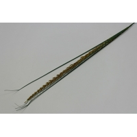 ����� ������ h-65 �� (�381 )