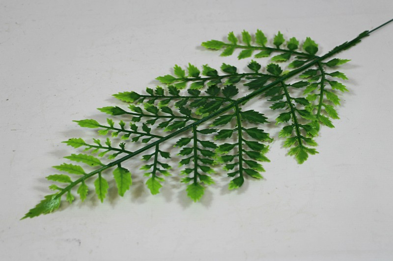 ���� ����������� h-50�� (�7003)