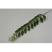 ���� ������������� h-50�� (�7002)