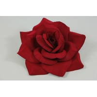 ������ ���� ��������� �������� (�711/2)