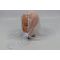     (, ), 14080 .(181)