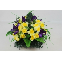 ������� ���������� ������� h-35�� L-50�� (�650/1)